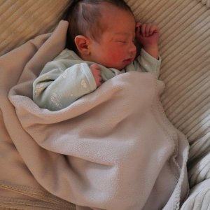 Adam, Joseph, Amédée